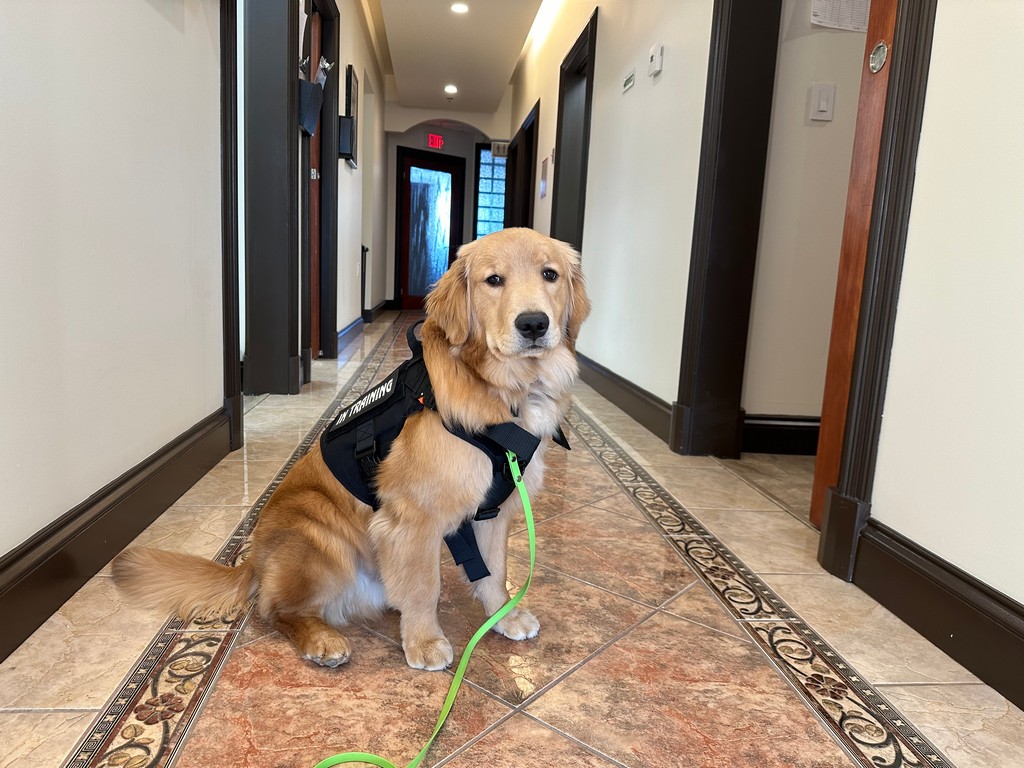 Easing a Young Patient’s Fears